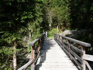 Pont sur l'Arve Chalet Chamonix Les Lupins